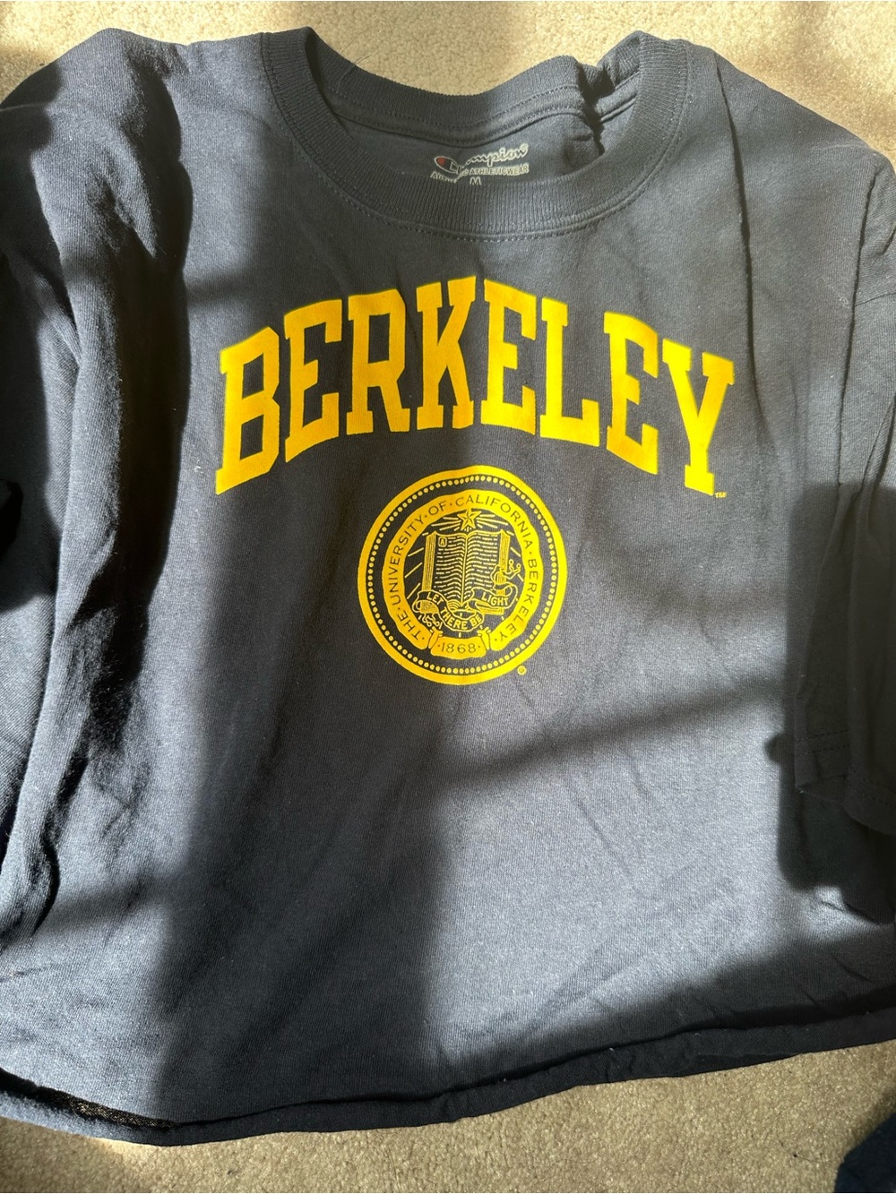 Champion Berkeley Crewneck Sweatshirt in Navy/Gold